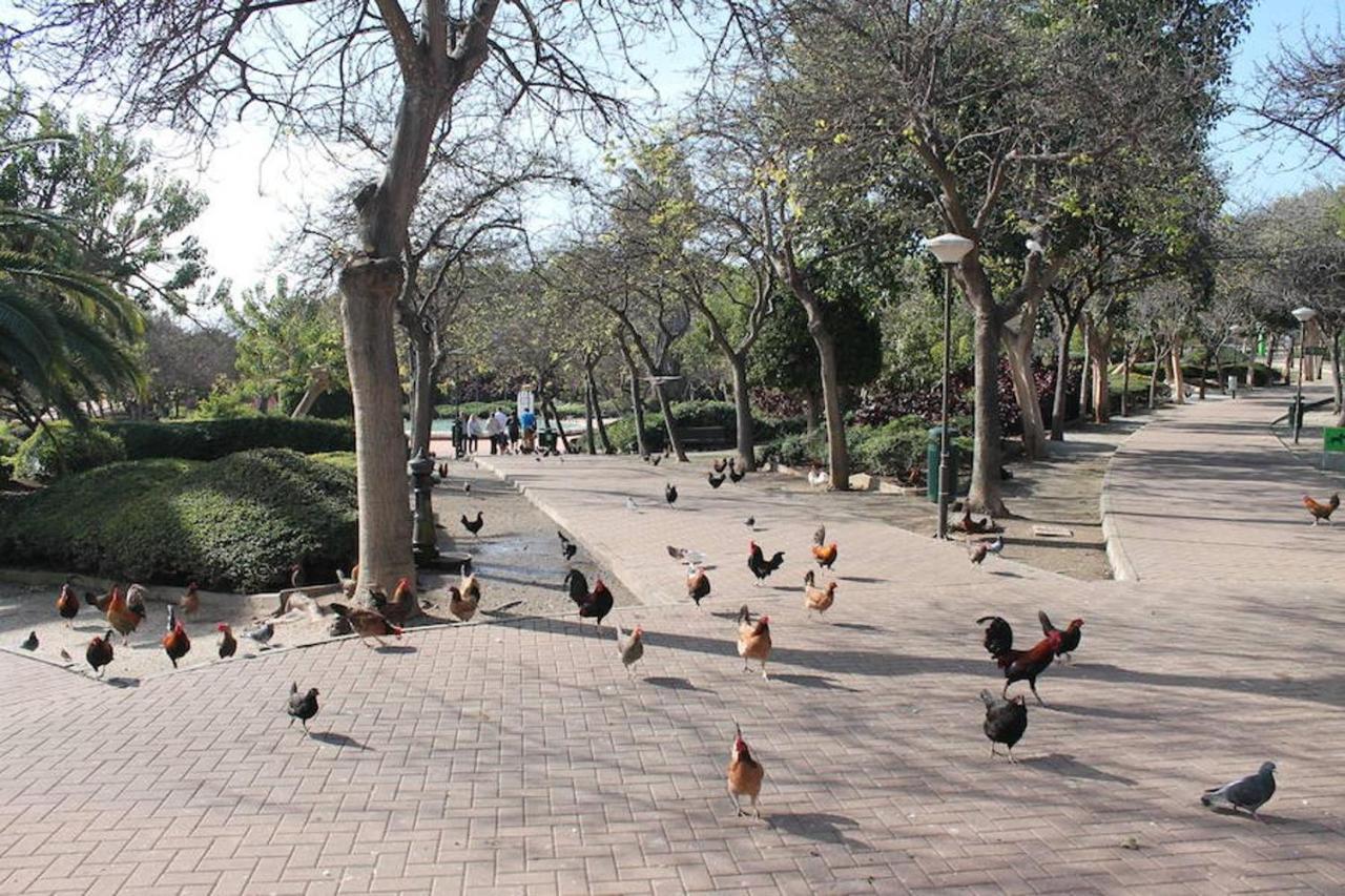 Apartamento Playa Benalmadena Las Golondrinas Dış mekan fotoğraf
